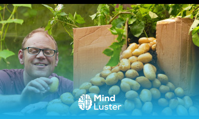 The Potato Method You re Probably Not Using