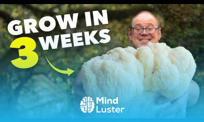 How to Grow Lion s Mane Mushroom from Start to Finish