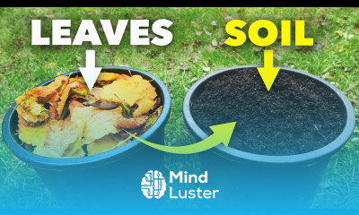 The Clever Way Smart Gardeners Make Amazing Soil