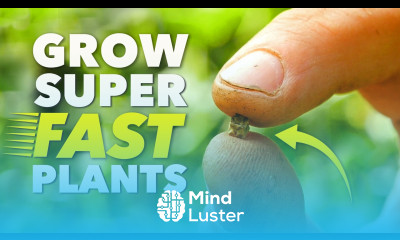 Plant Now Harvest Before Winter Last Chance