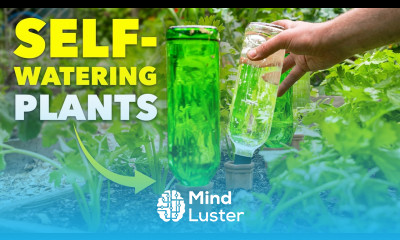 This Ancient Watering Technique will Save Your Plants