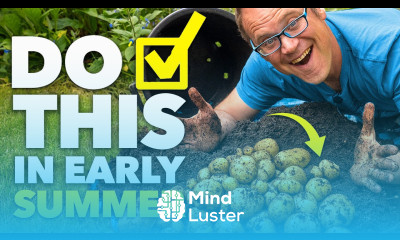 The Lazy Gardener s Checklist For Early Summer Do This Now