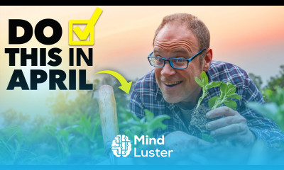 Don t Miss Spring Do These Garden Tasks Now