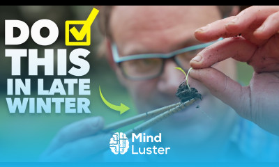 Garden Checklist 10 Tasks to Give Your Garden a Head Start Before Spring