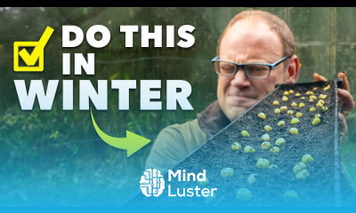 Garden Checklist 10 Tasks to Give Your Garden a Head Start in Winter