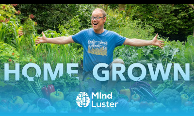 100 of Vegetables a Week Minimal Effort Here s How