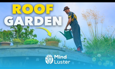 Roof Top Garden How to Grow Food in a Tiny Space