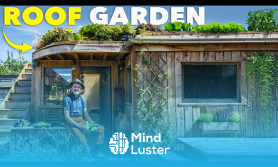 Roof Top Garden How to Grow Food in a Tiny Space