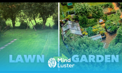 Bare Lawn to Sustainable Garden Eden How he Did it