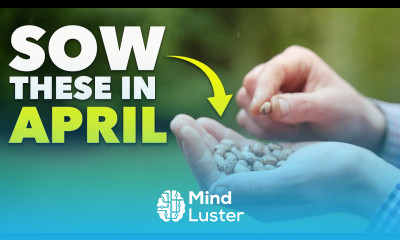 You Must Sow These Seeds in Late Spring