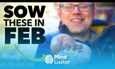 You Must Sow These Seeds in February