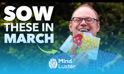 You Must Sow These Seeds in Spring