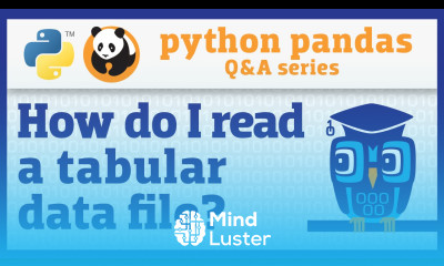 How do I read a tabular data file into pandas