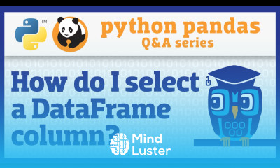 How do I select a pandas Series from a DataFrame