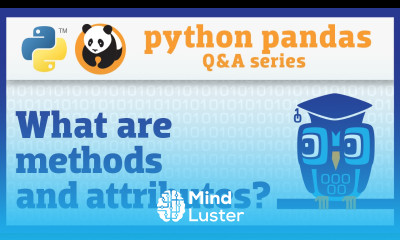 Why do some pandas commands end with parentheses and others don t