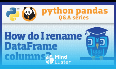 How do I rename columns in a pandas DataFrame