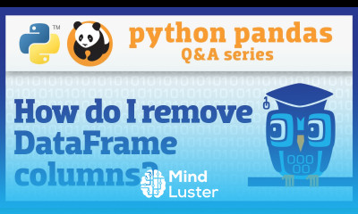 How do I remove columns from a pandas DataFrame