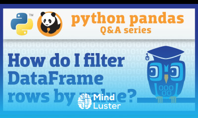 How do I filter rows of a pandas DataFrame by column value