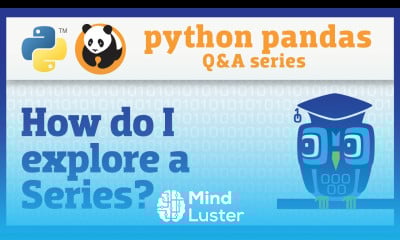How do I explore a pandas Series