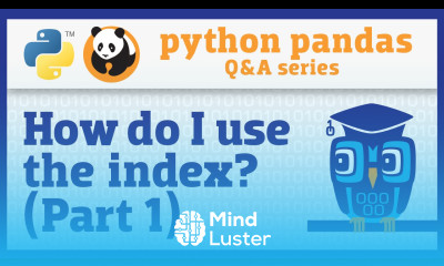 What do I need to know about the pandas index Part 1