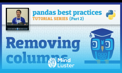pandas best practices 2 10 Removing columns