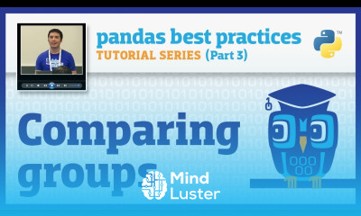 pandas best practices 3 10 Comparing groups
