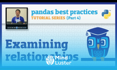 pandas best practices 4 10 Examining relationships