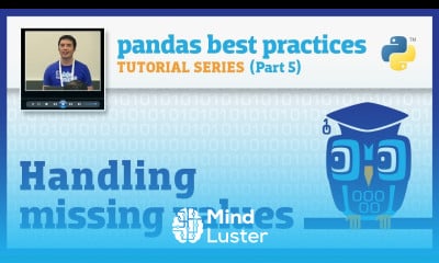 pandas best practices 5 10 Handling missing values