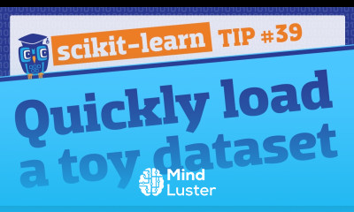Load a toy dataset into a DataFrame