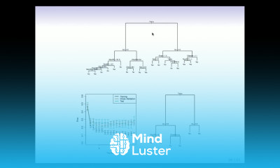 StatsLearning Chapter 8 part 3