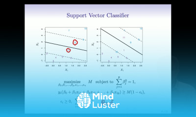 StatsLearning Chapter 9 part 2