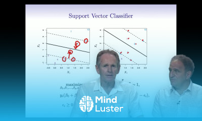 StatsLearning Chapter 9 part 3