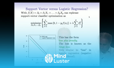 StatsLearning Chapter 9 part 4