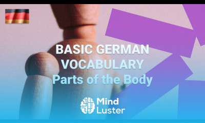 Basic German Vocabulary What Are Parts of the Body Called in German