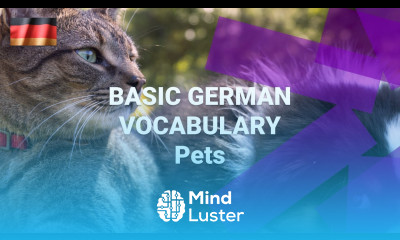 Basic German Vocabulary What Are Pets Called in German