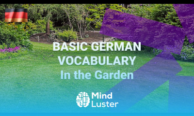 Basic German Vocabulary What Do You Find in the Garden in German