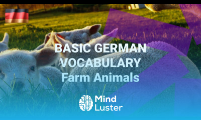 Basic German Vocabulary What Are Farm Animals Called in German