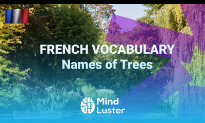 What Are the Names of Trees in French