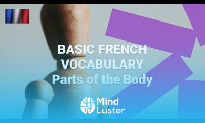 Basic French Vocabulary What Are Parts of the Body Called in French