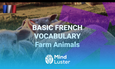 Basic French Vocabulary What Are Farm Animals Called in French