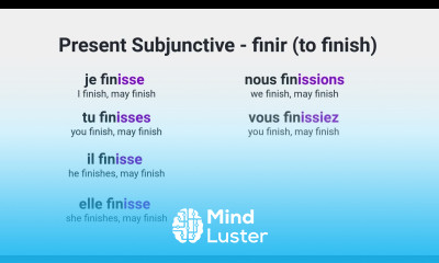What Is the Present Subjunctive of Regular ir Verbs e g finir to finish in French