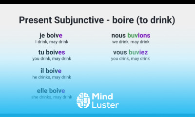 What Is the Present Subjunctive of boire to drink in French