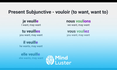 What Is the Present Subjunctive of vouloir to want want to in French