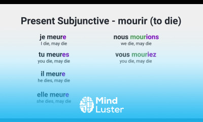 What Is the Present Subjunctive of mourir to die in French