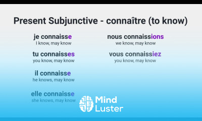 What Is the Present Subjunctive of connaître to know in French