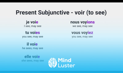 What Is the Present Subjunctive of voir to see in French