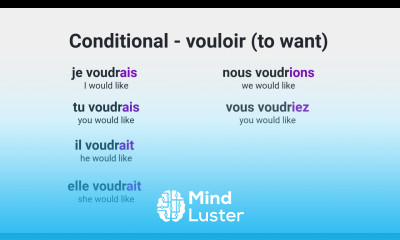 What Are the Conditional Mood Forms for Saying would like in French