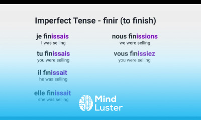 How Is the Imperfect Tense Formed for Regular ir Verbs in French Such As finir to finish
