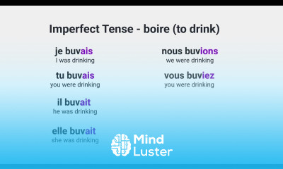 What Is the Imperfect Tense of the French Verb boire to drink