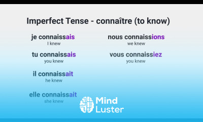What Is the Imperfect Tense of the French Verb connaître to know
